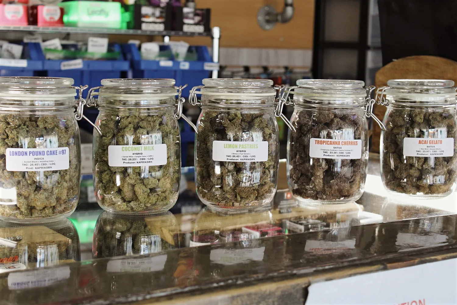 Row of five labeled jars of flower on the glass counter at Oregon Bud Company Keizer